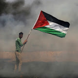 Gaza Stories